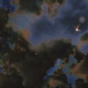 Meet your Posher, Mikayla